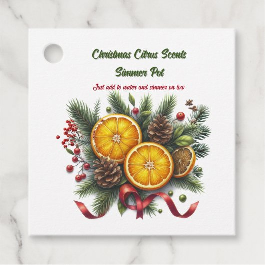 Kerst Citrus Simmerpot Geuren Bedankjes Labels (Voorkant)