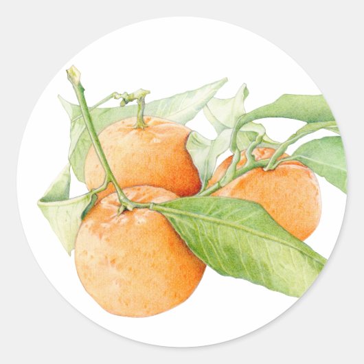 Kerst Clementines Sticker (Voorkant)