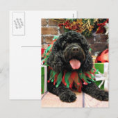 Kerst - Cockapoo - Sophie Feestdagenkaart (Voorkant / Achterkant)