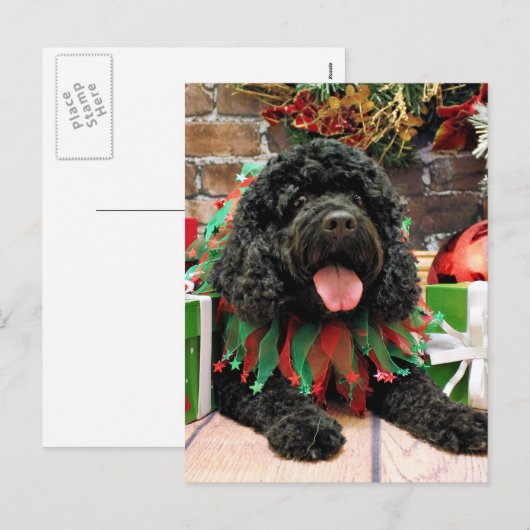 Kerst - Cockapoo - Sophie Feestdagenkaart (Voorkant / Achterkant)