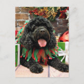 Kerst - Cockapoo - Sophie Feestdagenkaart (Voorkant)