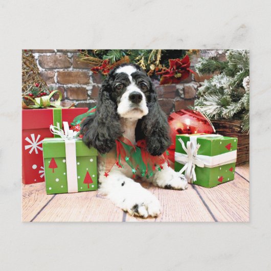 Kerst - Cocker Spaniel - Laci Feestdagenkaart (Voorkant)