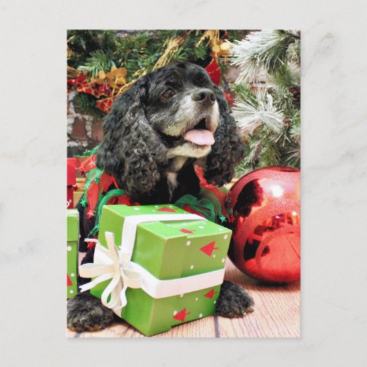 Kerst - Cocker Spaniel - Marshall Feestdagenkaart (Voorkant)