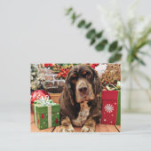 Kerst - Cocker Spaniel - Remmy Feestdagenkaart (Staand voorkant)