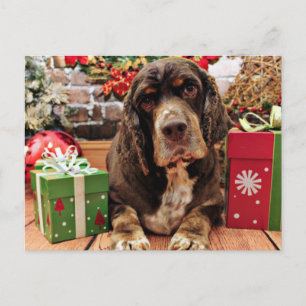 Kerst - Cocker Spaniel - Remmy Feestdagenkaart