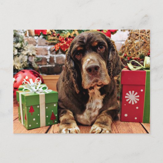 Kerst - Cocker Spaniel - Remmy Feestdagenkaart (Voorkant)