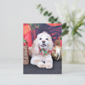 Kerst - Cocker Spaniel - Sammy Feestdagenkaart (Staand voorkant)