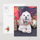 Kerst - Cocker Spaniel - Sammy Feestdagenkaart (Voorkant / Achterkant)