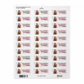 Kerst Cocker Spaniel Sinterklaas Retouradres Etiket (Full Sheet)