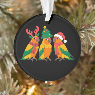 Kerst Conure Papegaaien Kerstman Hoed Sjaal Boom K Ornament