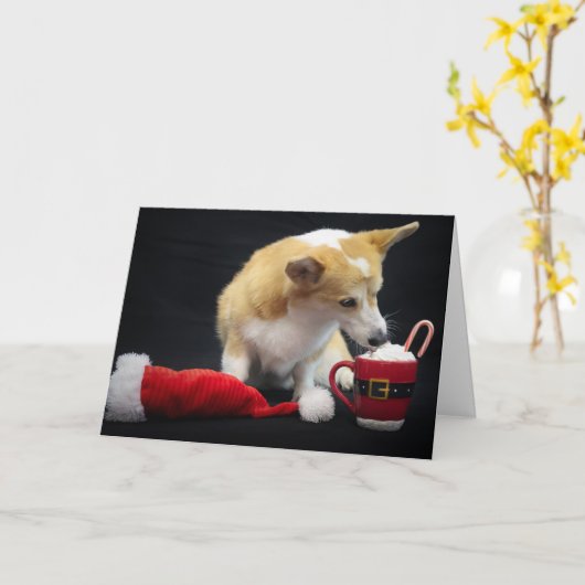 Kerst Corgi Eet Witte Room Kaart (Gele Bloem)