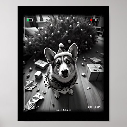 Kerst Corgi Vangen Op Camera Poster (Voorkant)