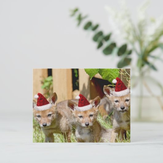Kerst Coyote Pups Feestdagenkaart (Staand voorkant)