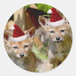 Kerst Coyote Pups Ronde Sticker