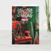 Kerst Curly Coat Retreiver Hond Ondeugend of Mooi Feestdagen Kaart (Voorkant)