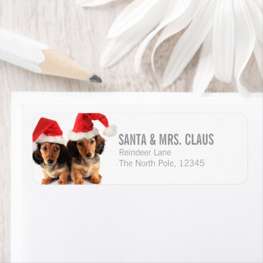 Kerst Dachshund Puppies Dragen Santa Hats Etiket (Insitu)