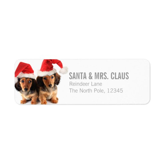 Kerst Dachshund Puppies Dragen Santa Hats Etiket (Voorkant)