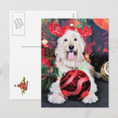 Kerst - Daisy - Goldendoodle Feestdagenkaart (Voorkant / Achterkant)