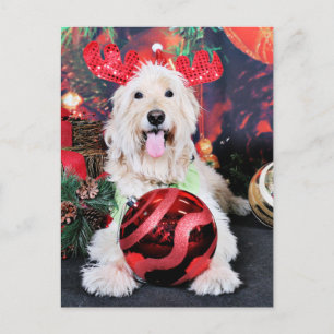 Kerst - Daisy - Goldendoodle Feestdagenkaart