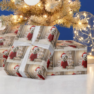 Kerst Dalmatiner hond in een rode trui Cadeaupapier