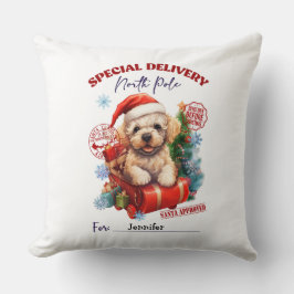 Kerst dekkerpillow met cute poedel kussen