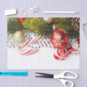 Kerst dennen tak lantaarns en parel tissuepapier (Craft)