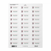 Kerst Disc Golf Kerstman Retouradres Etiket (Full Sheet)