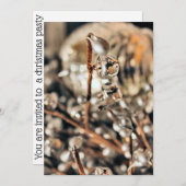 Kerst Disco Kaart (Voorkant / Achterkant)