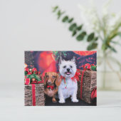 Kerst - Doxie Butch - Cairn Stella Feestdagenkaart (Staand voorkant)
