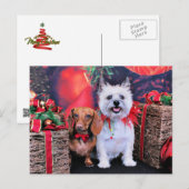 Kerst - Doxie Butch - Cairn Stella Feestdagenkaart (Voorkant / Achterkant)