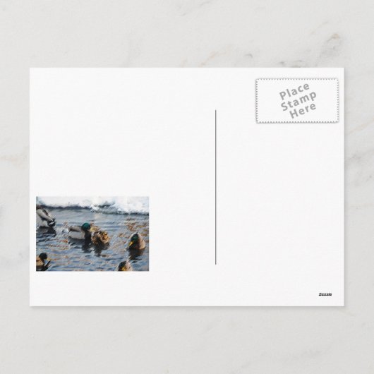 "Kerst Ducks" Feestdagenkaart (Achterkant)