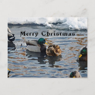 "Kerst Ducks" Feestdagenkaart