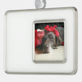 Kerst Duitse staande hond Verzilverd Omlijst Ornament (Links)