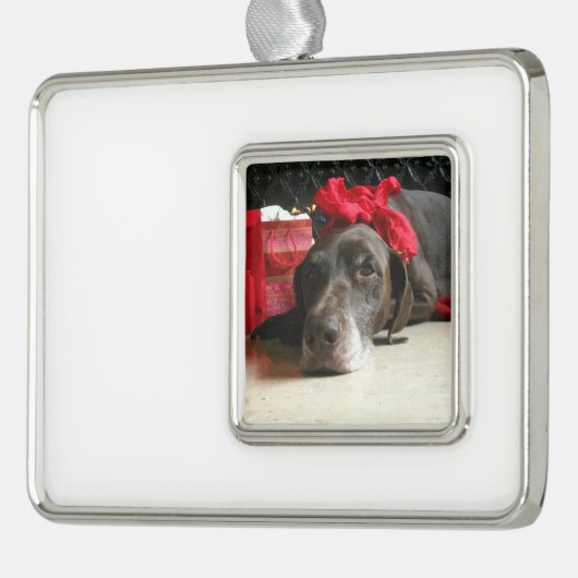 Kerst Duitse staande hond Verzilverd Omlijst Ornament (Links)