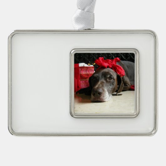 Kerst Duitse staande hond Verzilverd Omlijst Ornament (Voorkant)