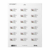 Kerst Eekhoorn Dragen Sinterklaas Pet Etiket (Full Sheet)