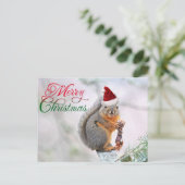 Kerst Eekhoorn Dragen Sinterklaas Pet Feestdagenkaart (Staand voorkant)