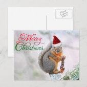 Kerst Eekhoorn Dragen Sinterklaas Pet Feestdagenkaart (Voorkant / Achterkant)