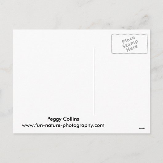 Kerst Eekhoorn Gezegde Ho Ho Ho Ho Feestdagenkaart (Achterkant)