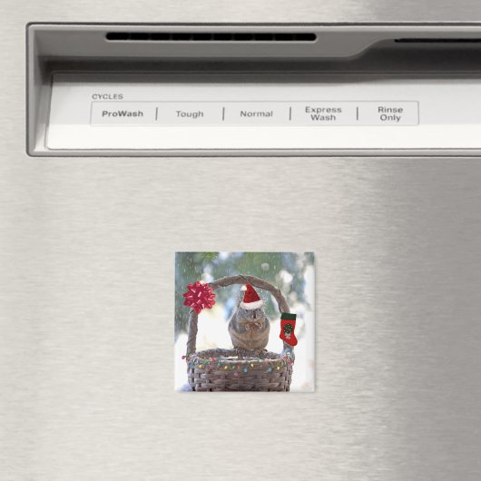 Kerst Eekhoorn in Sneeuwmand Magneet (Insitu (Vaatwasser))