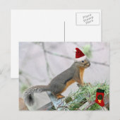 Kerst Eekhoorn met Kerstmis Stocking Feestdagenkaart (Voorkant / Achterkant)