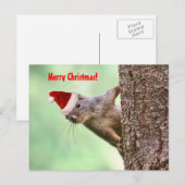 Kerst Eekhoorn op een Boom Feestdagenkaart (Voorkant / Achterkant)