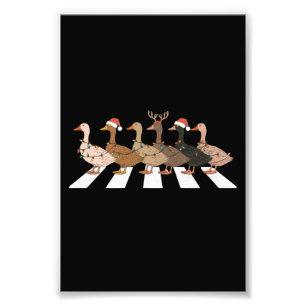 Kerst Eenden Grappige Dieren Kerstmis Boerderij Li Foto Afdruk