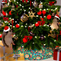 Kerst egel grillig