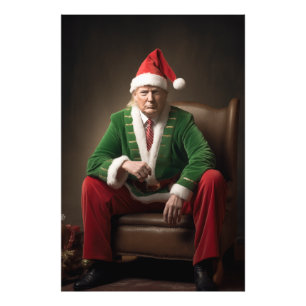 Kerst Elf Donald Trump Foto Afdruk