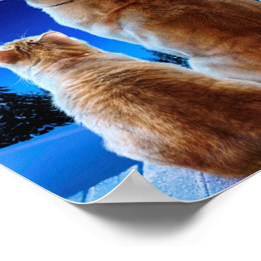 Kerst- en hondenwonder poster (Hoek)