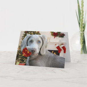 Kerst- en sierkaarten voor weimaraner feestdagen kaart