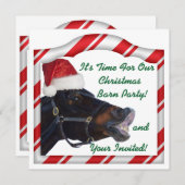 Kerst Equestrian Horse Pony Barn Party Kaart (Voorkant / Achterkant)