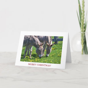 kerst-ezel feestdagen kaart