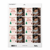 Kerst Familie Foto Vrolijk Kerstmis Adres Etiket (Full Sheet)